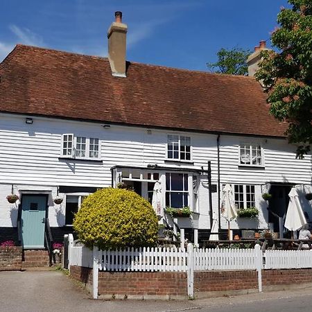 ホテル Rose And Crown Mayfield  エクステリア 写真